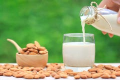 Lait pur se renversant d'amande de la bouteille en verre avec des amandes dans une cuvette sur le fond vert naturel photos stock Lait pur se renversant d'amande de la bouteille en verre avec des amandes dans une cuvette sur le fond vert naturel photos stock