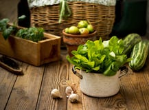 Laitue de feuille fraîche verte dans une casserole en métal sur un fond en bois image stock Laitue de feuille fraîche verte dans une casserole en métal sur un fond en bois image stock