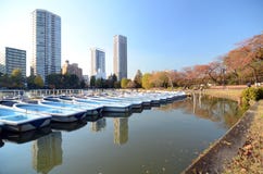 Lake In Ueno Park, Tokyo Stock Images Lake In Ueno Park, Tokyo Stock Images