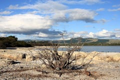 Lake in New Zealand royalty free stock images Lake in New Zealand royalty free stock images