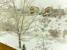 Lake Tahoe Snow Photos Trees/ landscapes Stock Image Lake Tahoe Snow Photos Trees/ landscapes Stock Image