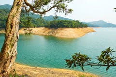 Lake Water And Ancient Tree Stock Photography Lake Water And Ancient Tree Stock Photography