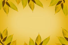 Lames d'automne jaunes image libre de droits Lames d'automne jaunes image libre de droits
