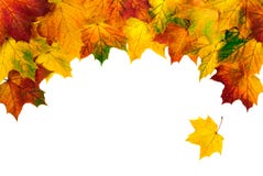 Lames d'automne établissant un cadre cintrer-formé images stock Lames d'automne établissant un cadre cintrer-formé images stock