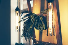 Lampa och inlagd växt i inre royaltyfria foton Lampa och inlagd växt i inre royaltyfria foton