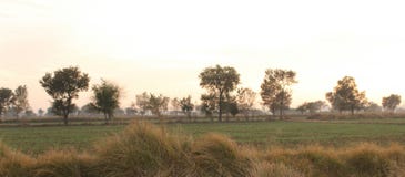 Land en gebieden van Punjab stock fotografie Land en gebieden van Punjab stock fotografie
