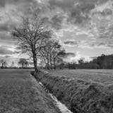 Landelijk landschap, gebied met bomen dichtbij een sloot en zonsondergang met dramatische wolken, Weelde, België royalty-vrije stock foto Landelijk landschap, gebied met bomen dichtbij een sloot en zonsondergang met dramatische wolken, Weelde, België royalty-vrije stock foto