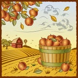 Landscape with apple harvest