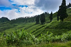 Landscape royalty free stock photos Landscape royalty free stock photos