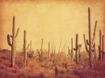 Landscape of the desert with Saguaro cacti. Photo in retro style. Added paper texture. Toned image royalty free stock photo Landscape of the desert with Saguaro cacti. Photo in retro style. Added paper texture. Toned image royalty free stock photo