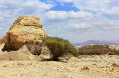 Landscape In The Judean Desert Stock Photos