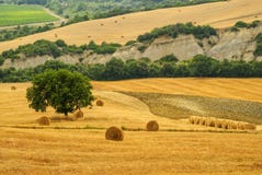 Landscape in Tuscany at summer Royalty Free Stock Photos Landscape in Tuscany at summer Royalty Free Stock Photos
