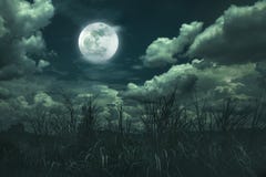 Landscape of night sky with clouds. Beautiful bright full moon above wilderness area in forest, serenity nature background. royalty free stock photos Landscape of night sky with clouds. Beautiful bright full moon above wilderness area in forest, serenity nature background. royalty free stock photos