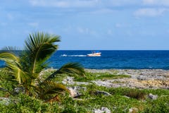 Landscape Of A Tropical Coastline With Palm Trees, Sea And Blue Sky. Motor Boat Racing Through The Sea. Landscape Of A Tropical Coastline With Palm Trees, Sea And Blue Sky. Motor Boat Racing Through The Sea.