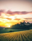 Landscape shot, medieval Ronneburg Castle with rape fields in spring at sunrise, Wetterau, Hesse, Germany