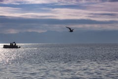 Landscape in silver-pink-blue on the beautiful Ohrid Lake with silhouettes of а boat and flying seagull. Macedonia. royalty free stock image Landscape in silver-pink-blue on the beautiful Ohrid Lake with silhouettes of а boat and flying seagull. Macedonia. royalty free stock image