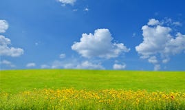 Landscape With Flowers Stock Photos Landscape With Flowers Stock Photos