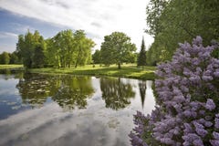 Landscape With Water And Lilac Stock Image