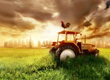 Landschaft Landschaft