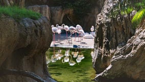 Landschaft bestanden aus Felsen mit einem Pool im Hintergrund stockbilder Landschaft bestanden aus Felsen mit einem Pool im Hintergrund stockbilder