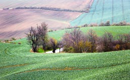 Landschaft mit Wellenhügeln, grünen Feldern und Bäumen, Süd-Morav stockbilder Landschaft mit Wellenhügeln, grünen Feldern und Bäumen, Süd-Morav stockbilder