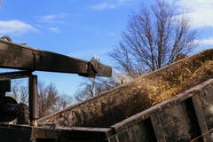 Landschaftsgestalter, die chipper Maschine verwenden, um Kettensägenbaumaste zu entfernen und zu schleppen Lizenzfreie Stockfotografie Landschaftsgestalter, die chipper Maschine verwenden, um Kettensägenbaumaste zu entfernen und zu schleppen Lizenzfreie Stockfotografie