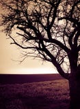 Landschap Stock Foto's