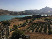 Landschap dichtbij Zahara, Andalusia, Spanje tijdens Feria stock afbeeldingen Landschap dichtbij Zahara, Andalusia, Spanje tijdens Feria stock afbeeldingen