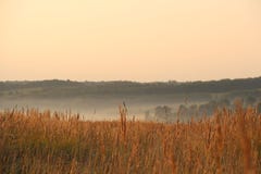 Landschap met mist stock afbeelding Landschap met mist stock afbeelding