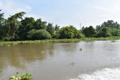 Landschap van het mooie landschap bij Saigon-Rivier in Ho Chi Minh City, Vietnam, Azië stock afbeelding Landschap van het mooie landschap bij Saigon-Rivier in Ho Chi Minh City, Vietnam, Azië stock afbeelding