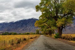 Landstraße mit dem Gewann der weisen Bürste und mit Eichen im Fall mit Schnee gezeichnet bedeckte Gebirgshintergrund mit einer Ka lizenzfreies stockbild Landstraße mit dem Gewann der weisen Bürste und mit Eichen im Fall mit Schnee gezeichnet bedeckte Gebirgshintergrund mit einer Ka lizenzfreies stockbild