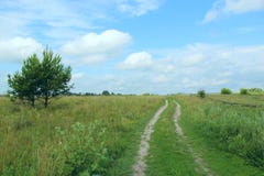 Landweg met gebied van groen gras De ZOMERlandschap Royalty-vrije Stock Afbeeldingen Landweg met gebied van groen gras De ZOMERlandschap Royalty-vrije Stock Afbeeldingen