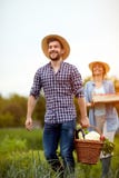 Landwirt, der vom Garten mit vegetarischen Produkten zurückkommt stockbild Landwirt, der vom Garten mit vegetarischen Produkten zurückkommt stockbild
