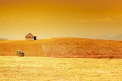 Landwirtschaftliche Landschaft mit goldenem Himmel und Gras stockfoto Landwirtschaftliche Landschaft mit goldenem Himmel und Gras stockfoto