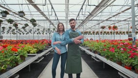 Landwirtschaftliches Ingenieur-Walks Through Industrial-Gewächshaus mit Berufslandwirt Sie überprüfen Zustand von Anlagen und stock footage Landwirtschaftliches Ingenieur-Walks Through Industrial-Gewächshaus mit Berufslandwirt Sie überprüfen Zustand von Anlagen und stock footage