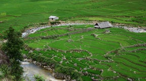 Landwirtschaftliches terassenförmig angelegtes Labyrinth stockbilder Landwirtschaftliches terassenförmig angelegtes Labyrinth stockbilder