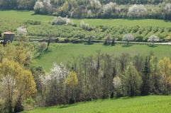 Langhe landscape royalty free stock photos Langhe landscape royalty free stock photos