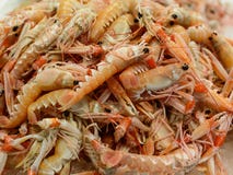Langoustine sur le marché de fruits de mer photo libre de droits Langoustine sur le marché de fruits de mer photo libre de droits