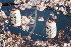 Lantaarns in Sakura Festival bij de rivier van gangooyokogawa, Tokyo, royalty-vrije stock afbeelding Lantaarns in Sakura Festival bij de rivier van gangooyokogawa, Tokyo, royalty-vrije stock afbeelding