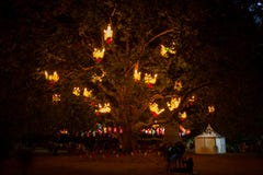 Lantern Tree Royalty Free Stock Photos Lantern Tree Royalty Free Stock Photos