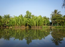 Lantlig plats med floden i Sadek, Vietnam Arkivfoton Lantlig plats med floden i Sadek, Vietnam Arkivfoton
