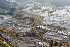 Laohuzui Terraced Field Scenic Area 2 Royalty Free Stock Photography