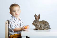 Lapin de alimentation de petit garçon avec la carotte photos stock Lapin de alimentation de petit garçon avec la carotte photos stock