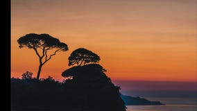 Laps de temps, bel arrangement du soleil de coucher du soleil derri?re des arbres sur des collines de l'Italie ? Sorrente, endroi banque de vidéos Laps de temps, bel arrangement du soleil de coucher du soleil derri?re des arbres sur des collines de l'Italie ? Sorrente, endroi banque de vidéos