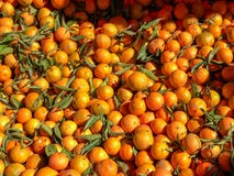 Laranjas para a venda em um souk do mercado foto de stock Laranjas para a venda em um souk do mercado foto de stock