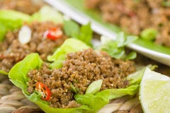 Larb - Lao Minced Beef Salad Stock Images Larb - Lao Minced Beef Salad Stock Images