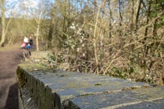 Detailed view of brickwork seen on a forest footbridge. The background shows an out of focus, young couple walking through a clear royalty free stock photo Detailed view of brickwork seen on a forest footbridge. The background shows an out of focus, young couple walking through a clear royalty free stock photo