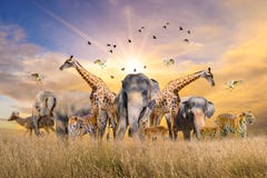 Large group of african safari animals. Wildlife conservation concept