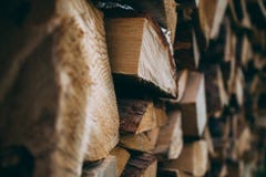 A large quantity of firewood from pine stock images A large quantity of firewood from pine stock images