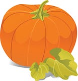 Large Pumpkin Royalty Free Stock Photography Large Pumpkin Royalty Free Stock Photography